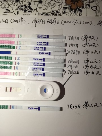 journal_insert_pic_255621795