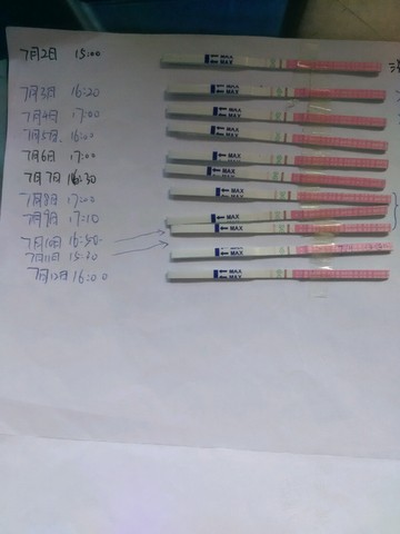 journal_insert_pic_255769279