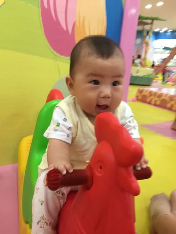 journal_insert_pic_255969173