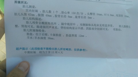 journal_insert_pic_255703847