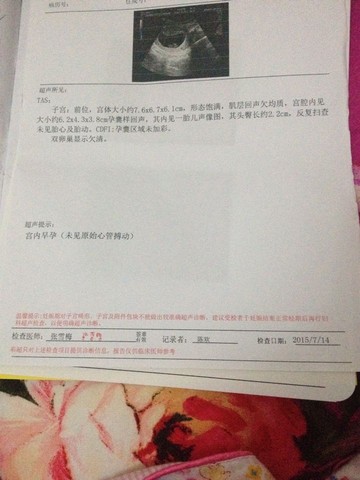 journal_insert_pic_256290347
