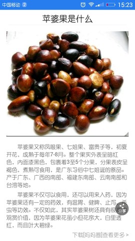 journal_insert_pic_257103647