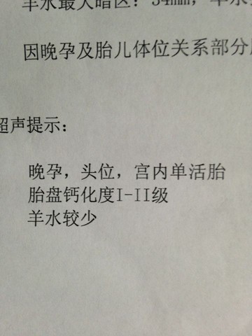 journal_insert_pic_257020862