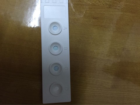 journal_insert_pic_257295070
