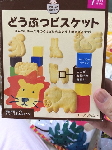 journal_insert_pic_258501161