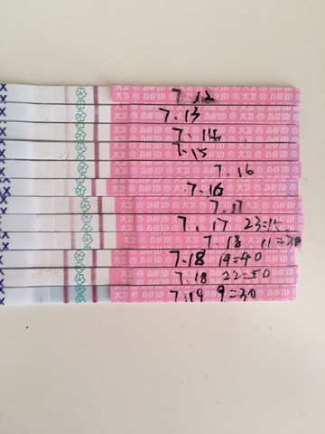 journal_insert_pic_258291149
