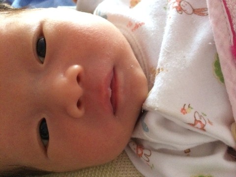 journal_insert_pic_259211885