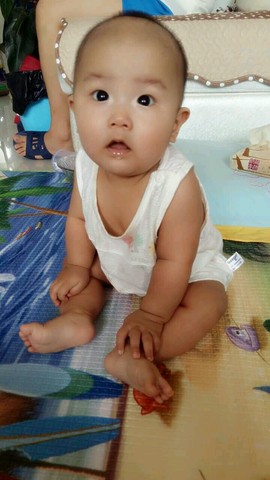 journal_insert_pic_260500181