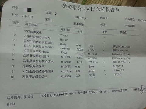 journal_insert_pic_261029452