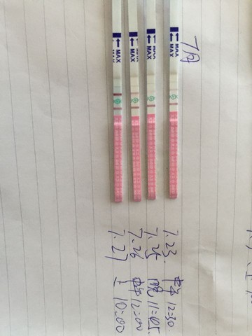 journal_insert_pic_262149629