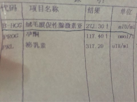 journal_insert_pic_262411117