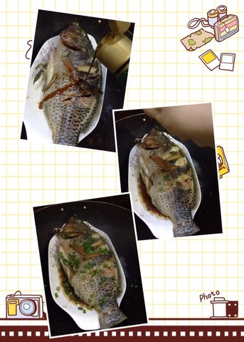 journal_insert_pic_262277598
