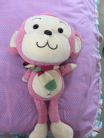 journal_insert_pic_262752515