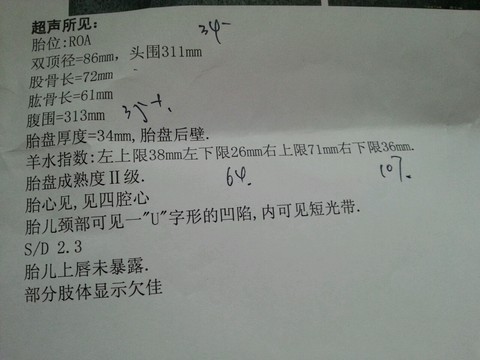 journal_insert_pic_262929070