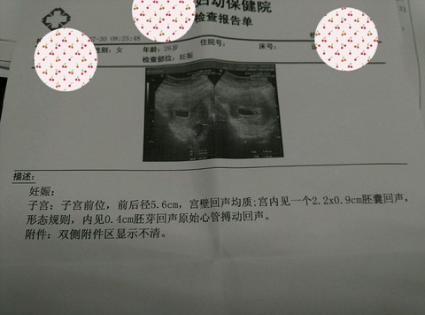 journal_insert_pic_263060581