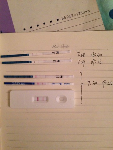 journal_insert_pic_263291611