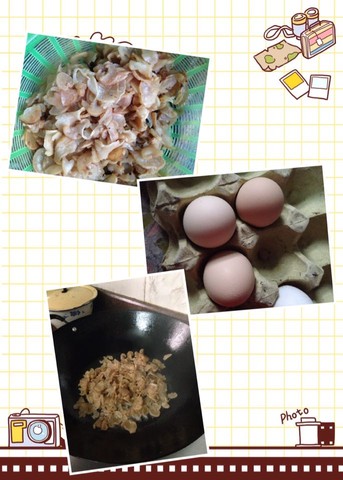 journal_insert_pic_263331339