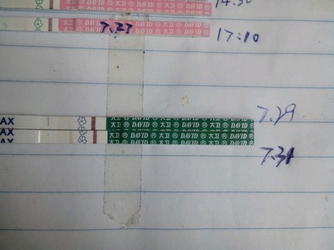 journal_insert_pic_263509724
