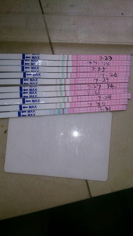 journal_insert_pic_263531694