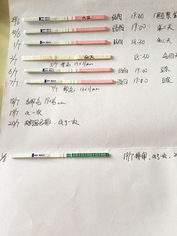 journal_insert_pic_263875132