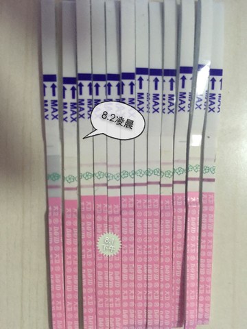 journal_insert_pic_264610953