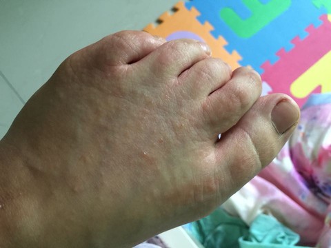 journal_insert_pic_264227453