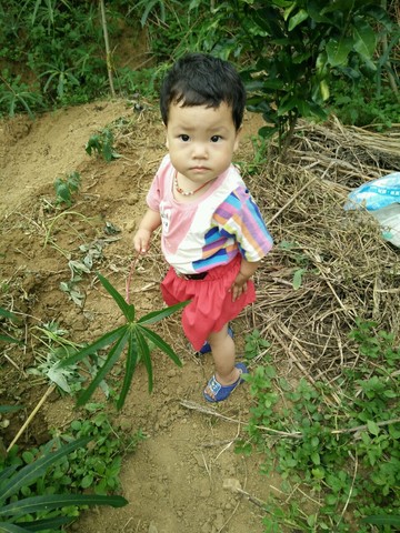 journal_insert_pic_265319011