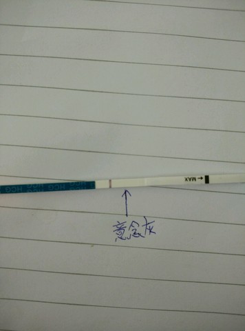 journal_insert_pic_265660959