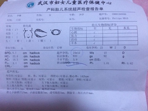 journal_insert_pic_265836359