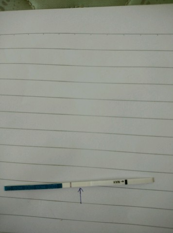 journal_insert_pic_265661083