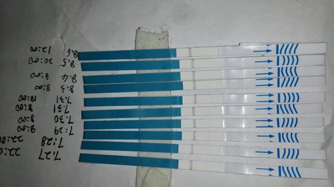 journal_insert_pic_266174479