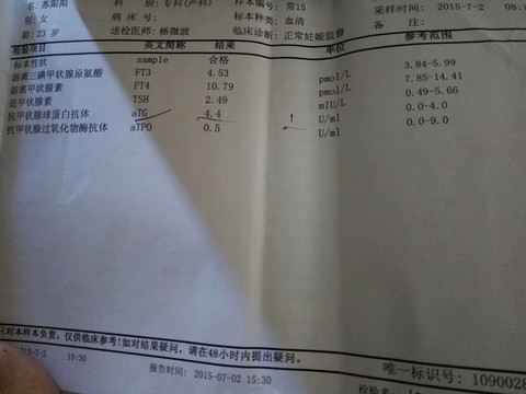 journal_insert_pic_266128246