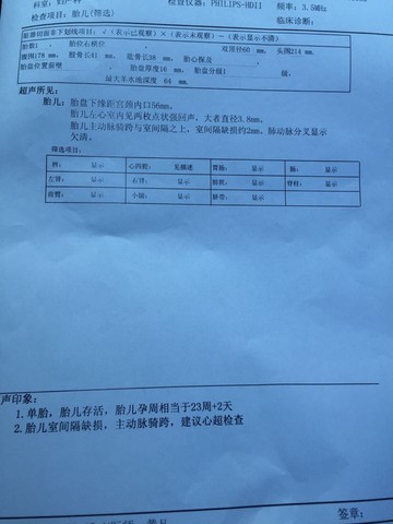 journal_insert_pic_265904982