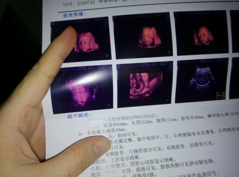 journal_insert_pic_266410980