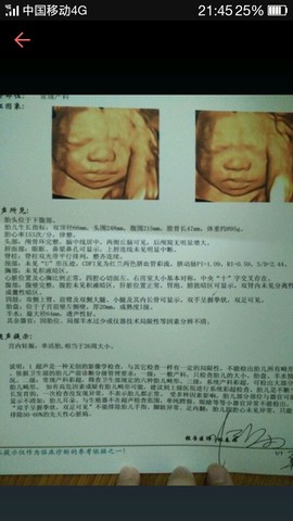 journal_insert_pic_267169809