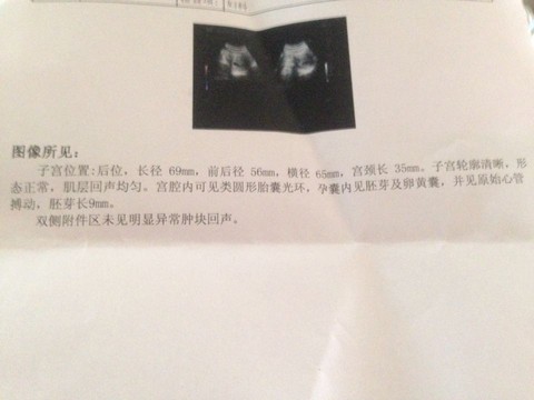 journal_insert_pic_267337979