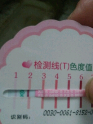 journal_insert_pic_267851719