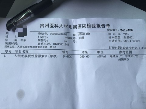 journal_insert_pic_270307981
