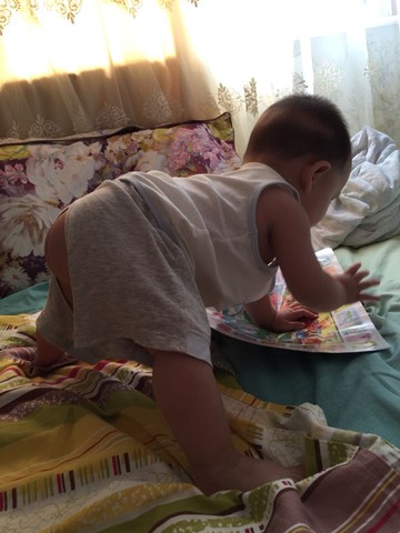 journal_insert_pic_270630952
