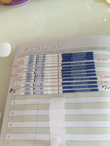journal_insert_pic_270917704