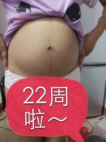 journal_insert_pic_271800118