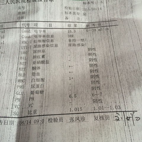 journal_insert_pic_271319489