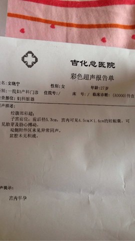 journal_insert_pic_272704571