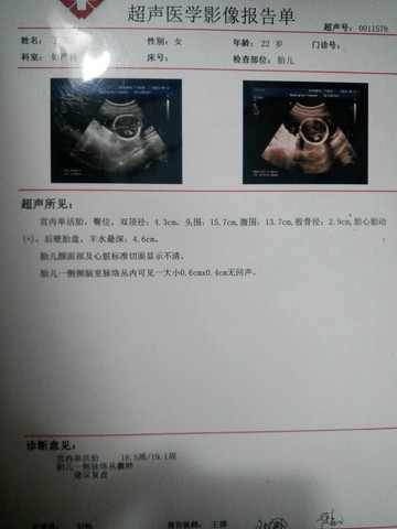 journal_insert_pic_272721826