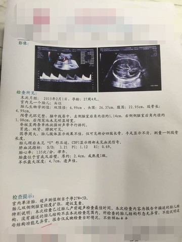journal_insert_pic_272507644