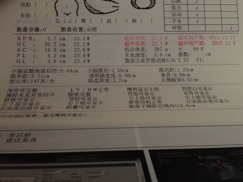 journal_insert_pic_273515084