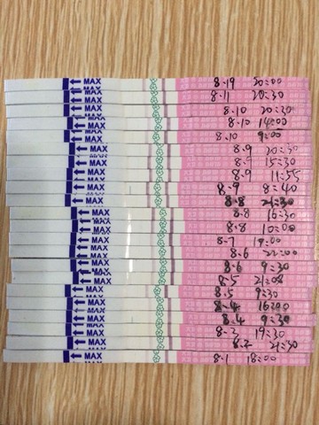 journal_insert_pic_273409583