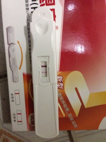 journal_insert_pic_273059559