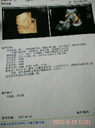journal_insert_pic_273107293