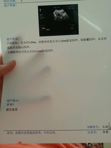 journal_insert_pic_273400165